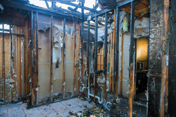 Professional Fire Damage Assessment technician working in St. James City, FL